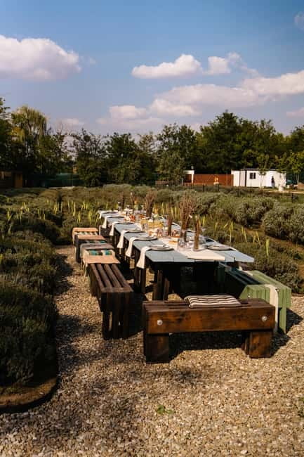 Bucharest: Day Trip at the The Tribe Alpaca Retreat - Final Verdict