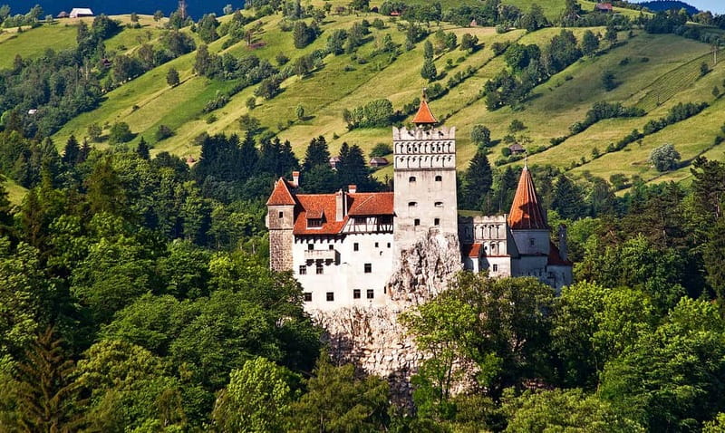 Bucharest: Day Trip to Bear Sanctuary, Bran Castle & Brasov - The Journey Begins: Pickup and Transportation