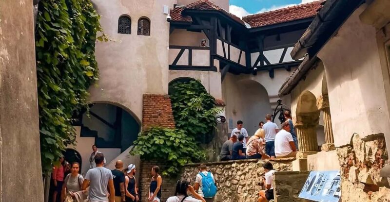 Bucharest: Draculas Castle and Dino Park Day Tour - Itinerary Details