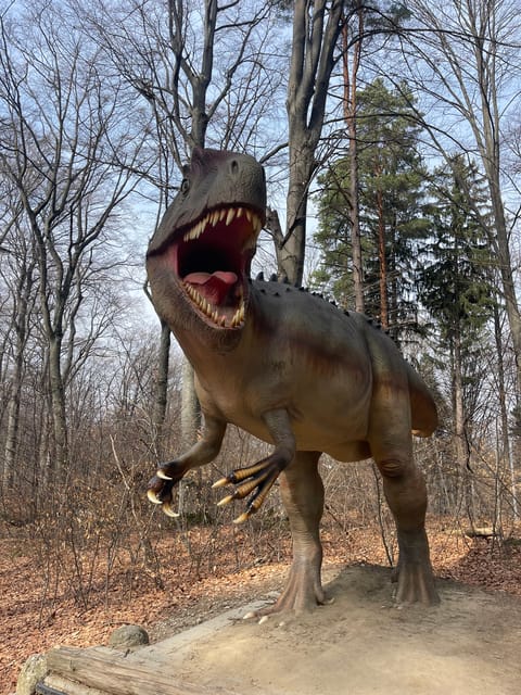 Bucharest: Draculas Castle and Dino Park Day Tour - Important Considerations