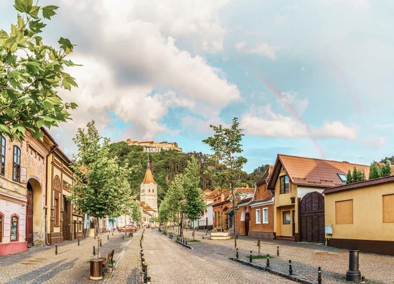 Bucharest: Dracula's Castle, Pele Castle & Braov Day Trip - Frequently Asked Questions