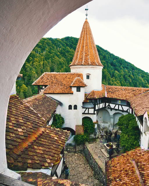Bucharest: Dracula's Castle, Peles Castle, & Brasov Old Town - Who is This Tour Best For?