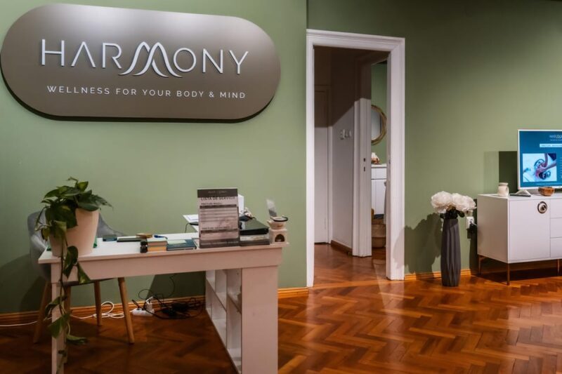 Bucharest: Harmony Wellness Center Massage Treatments - An In-Depth Look at Harmony Wellness Center