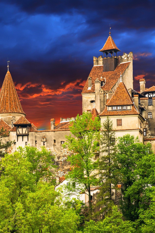 Bucharest: Peles Castle, Bran Castle, & Brasov Full-Day Tour - Good To Know