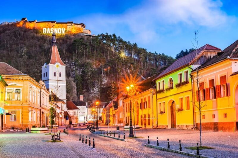 Bucharest: Peles Castle, Bran Castle, & Brasov Full-Day Tour - Accessibility Features