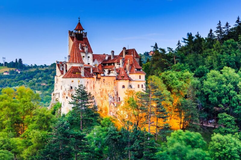 Bucharest: Peles Castle, Bran Castle, & Brasov Full-Day Tour - Important Participant Information