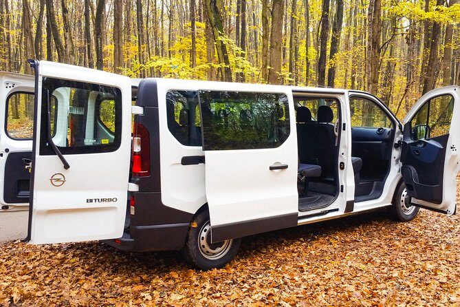 Bucharest Private City Tour - Transportation and Comfort