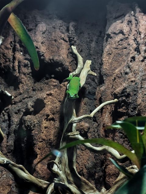 Bucharest: Reptiland Bucharest Entry Ticket - Frequently Asked Questions