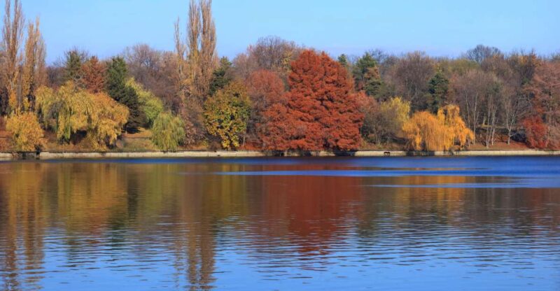 Bucharest Sightseeing Tour - Inclusions and Exclusions