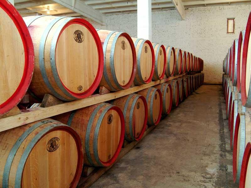 Bucharest: Slanic Salt Mines and Wine Tasting Tour - Itinerary Highlights