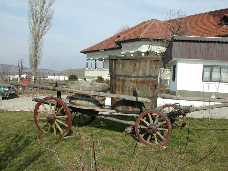Bucharest: Slanic Salt Mines and Wine Tasting Tour - Dining Experience