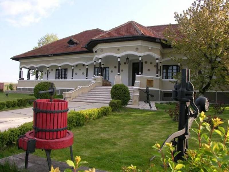 Bucharest: Slanic Salt Mines and Wine Tasting Tour - Inclusions