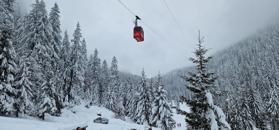 Bucharest: Snowmobile Tour with Pele Castle and Cable Car - Visiting Pele Castle: A Glimpse into Royal Romania