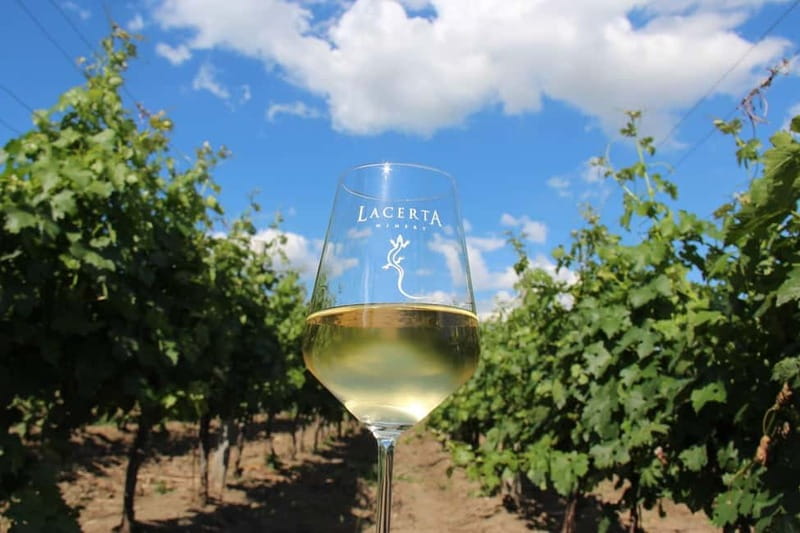 Bucharest: Taste the Magic of Wine in Romanias Tuscany - Key Points
