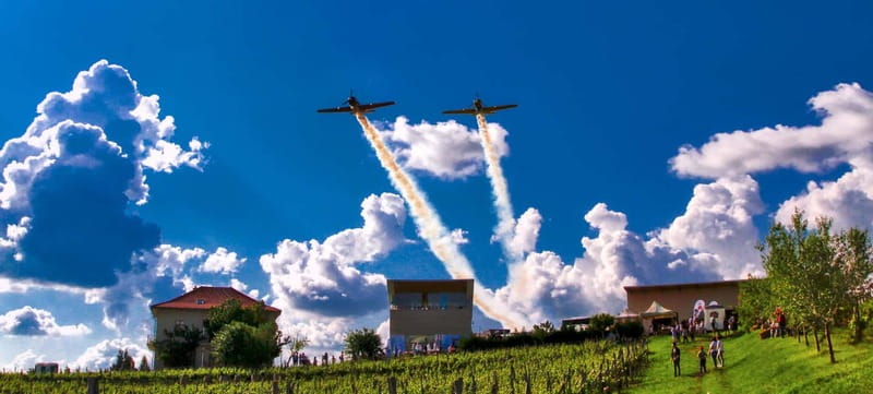 Bucharest: Taste the Magic of Wine in Romanias Tuscany - A Closer Look at What the Tour Offers