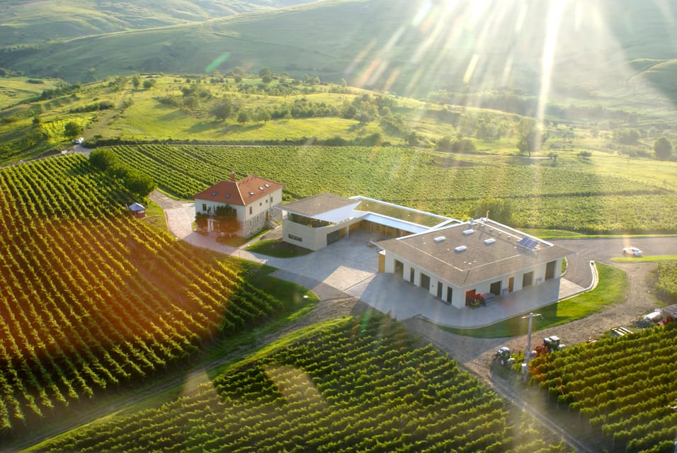 Bucharest: Taste the Magic of Wine in Romanias Tuscany - La Certa Winery: Modern Excellence in Wine