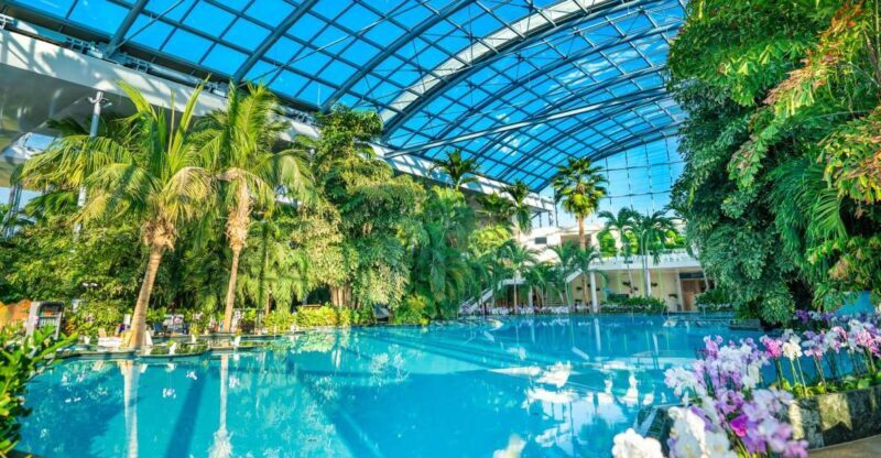 Bucharest: Therme Bucharest Entry Ticket and Transfer - Key Points