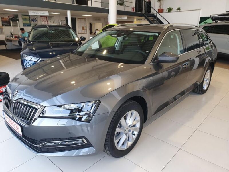 Bucharest to Iasi - Private Transfer - Driver Details