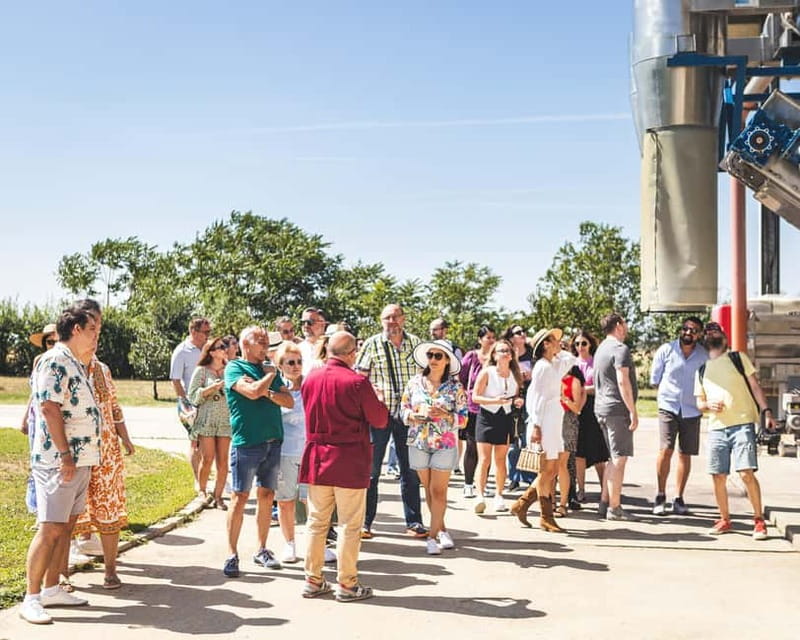 Bucharest: Tour The Wine Road, 2 Boutique Wineries in 1 Day - Honest Considerations