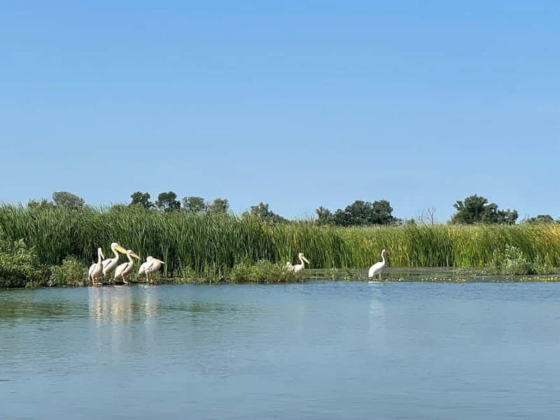 Bucharest: Tour to Danube Delta 2-Days With Boat Tour - An In-Depth Look at the Danube Delta Tour