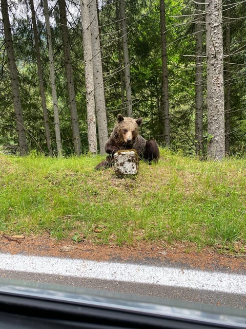 Bucharest: Transfagarasan Road, Famous & Spectacular - Important Information