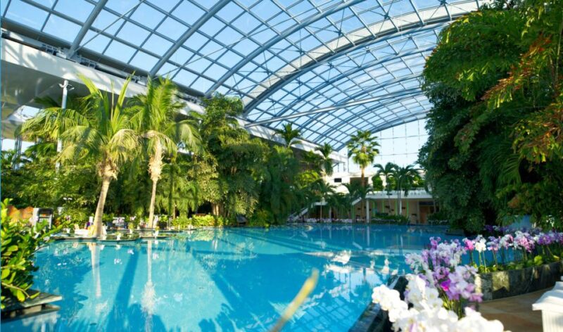 Bucharest: Transfer Therme Bucharest Different Hours - Customer Feedback and Ratings