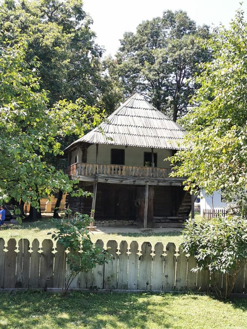 Bucharest: Village Museum guided tour with Hotel pickup - Accessibility and Practical Tips