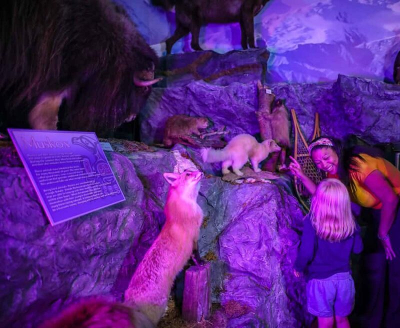 Buckhorn Saloon & Museum / Texas Ranger Museum Entry Ticket - A Deep Dive into the Experience