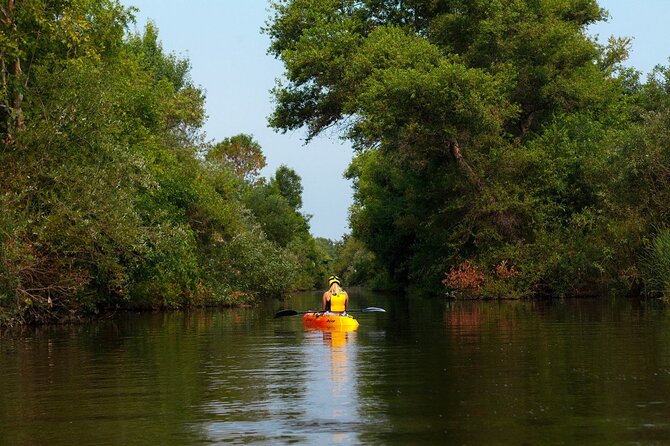 Buckhorn State Park Kayaking Tour Review - Reviews and Feedback Analysis