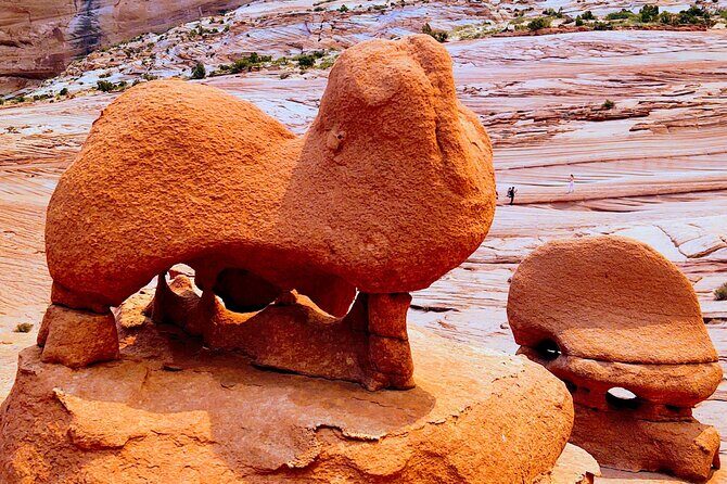 Buckskin Gulch and Wire Pass Hike - A Full Day of Amazing Slots! - Authentic Experiences from Past Travelers