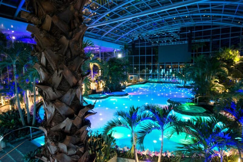 Bucuresti: Therme Bucharest Evening Entry Ticket & Transfer - An overview of what this tour offers