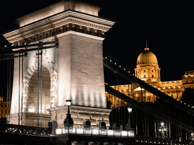 Budapest: BBQ Dinner Cruise w/ Live Music & Unlimited Drinks - Who Should Consider This Tour?