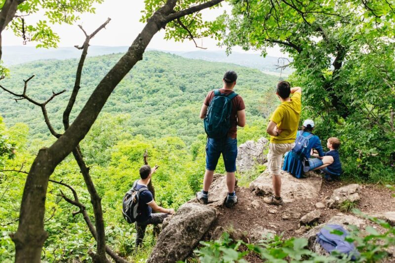 Budapest: Buda Hills Guided Hiking Tour with Optional Lunch - Introduction