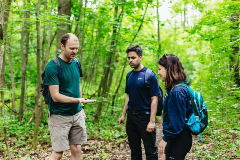 Budapest: Buda Hills Guided Hiking Tour with Optional Lunch - An Authentic Break from the City