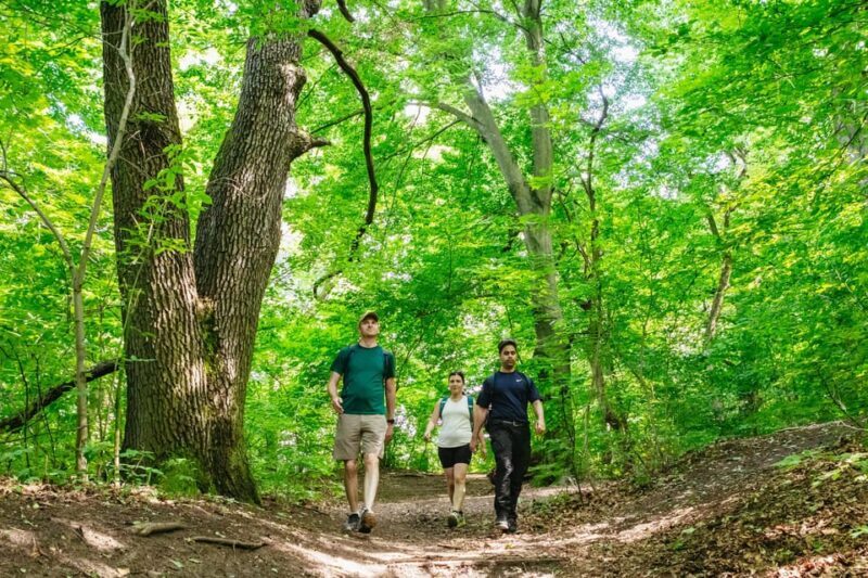 Budapest: Buda Hills Guided Hiking Tour with Optional Lunch - What’s Included and What’s Not