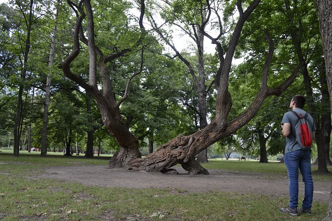 Budapest, Margaret Island Investigation Quest Experience - Detailed Instructions and App Access