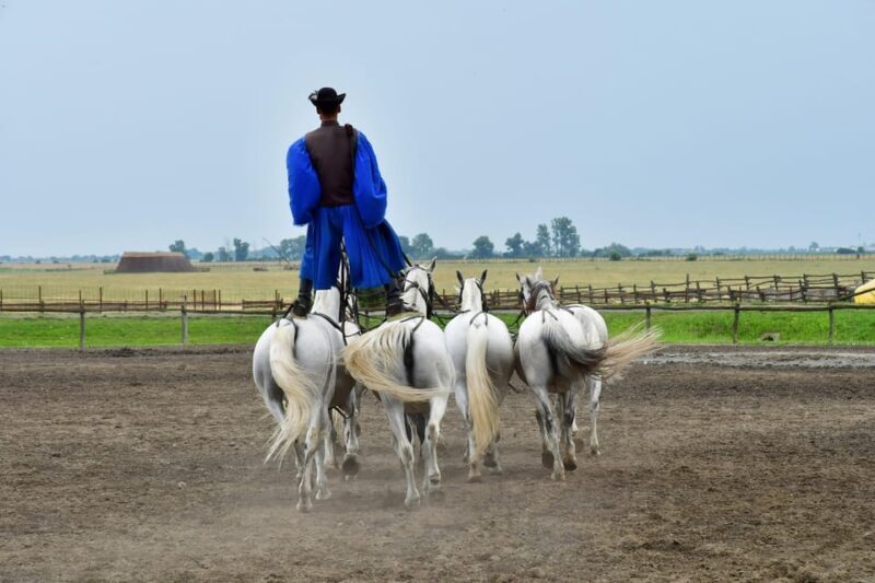 Budapest: Sisi Palace Tour with Hungarian Horse Show & Lunch - Key Points
