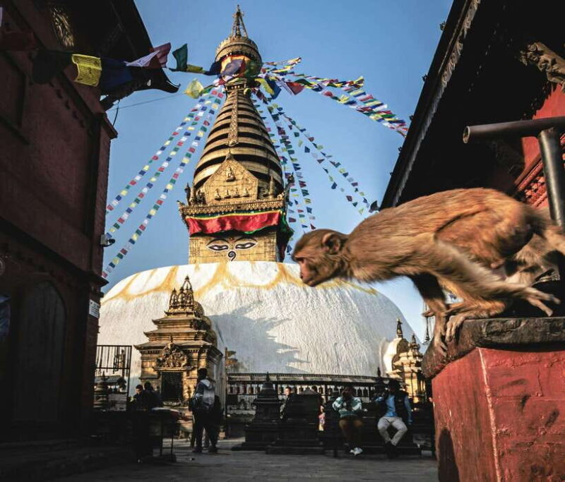 Buddhist Bliss: 1 Day Kathmandu Tour of Buddhist Stupas - The Sum Up