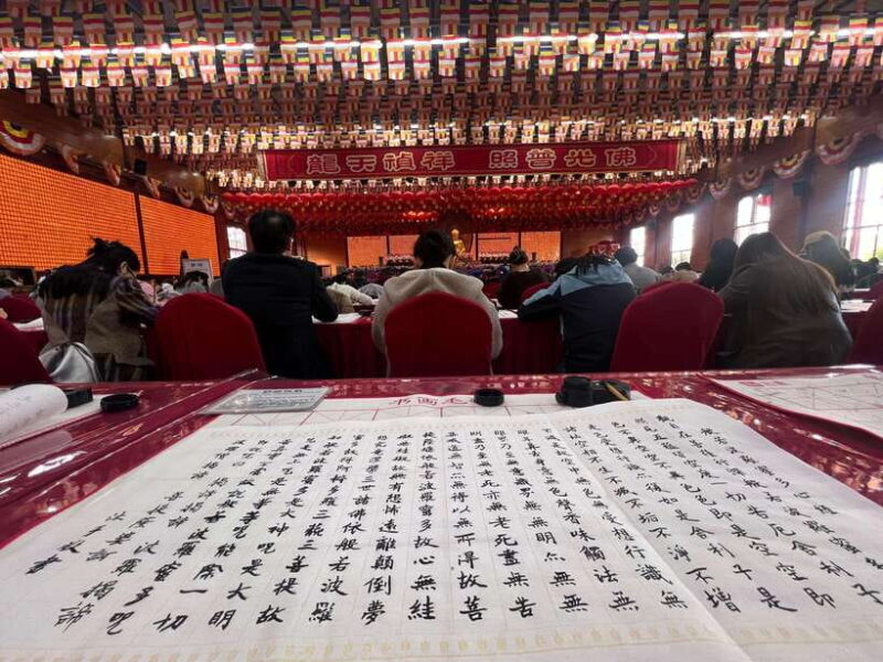 Buddhist tour of Longhua temple and vegetarian noodles - Who Will Appreciate This Tour?