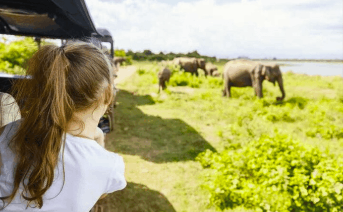 Budget Safari to Udawalawa National Park From Colombo - Sightseeing at Udawalawa Dam