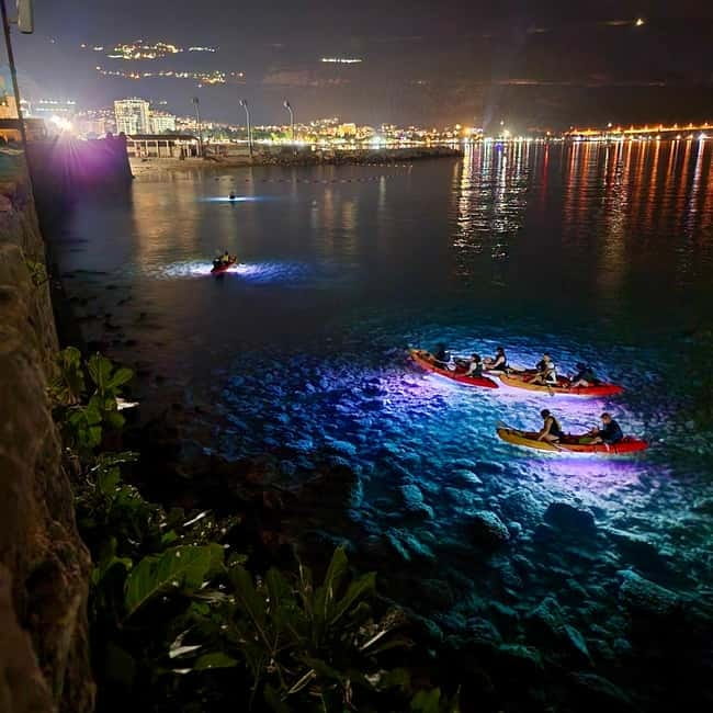 Budva: 2-Hour «Night Lights» Kayak Tour - What’s Included and What’s Not