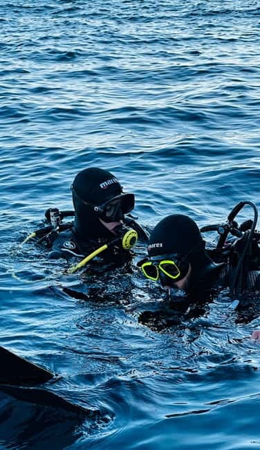 Budva: Scuba Diving Experience - Authentic Insights from Participants