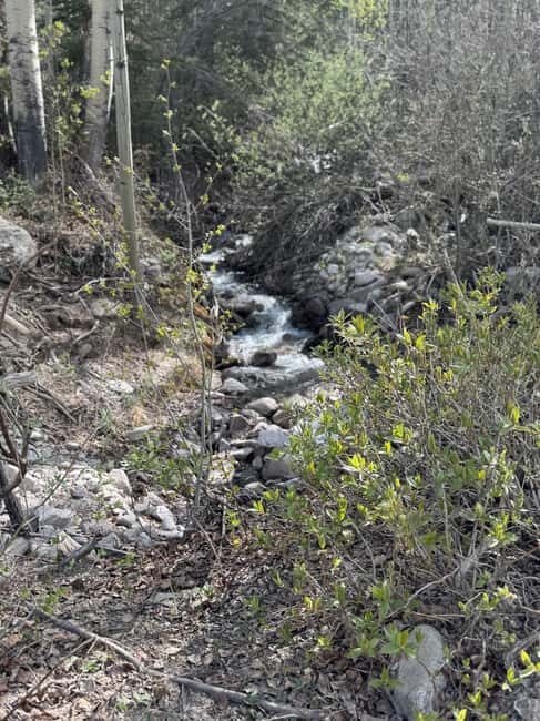 Buena Vista: 3 Hour E-Bike Tour to St. Elmo Ghost Town - FAQs