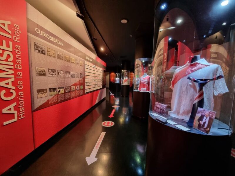 Buenos Aires: Hop-On Hop-Off Bus and Museum Ticket Combo - Experience and Highlights