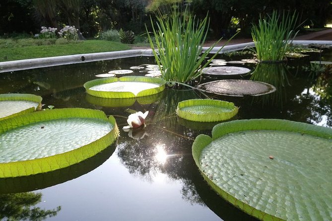 Buenos Aires Private Tour Discovering Palermo, The Japanese & Botanical Gardens - Taking in Japanese Garden