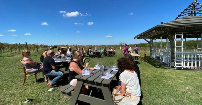 Buenos Aires: Wine Tasting and Lunch at Bodega Gamboa - Detailed Itinerary