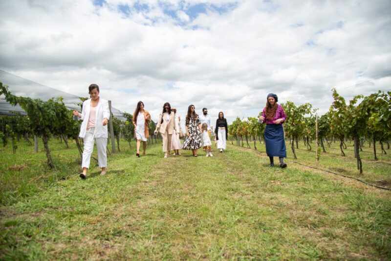 Buenos Aires: Wine Tasting and Lunch at Bodega Gamboa - Culinary Highlights