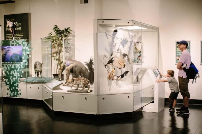 Buffalo: Admission Ticket to Buffalo Museum of Science - Exploring the Buffalo Museum of Science