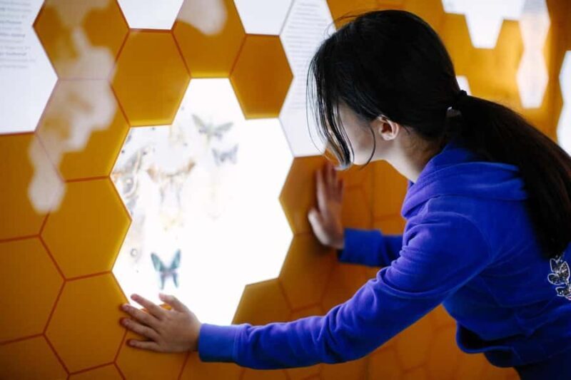 Buffalo: Admission Ticket to Buffalo Museum of Science - FAQ