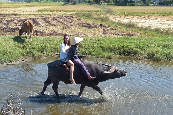Buffalo Riding and Basket Boat Half Day Tour - Reviews and Feedback